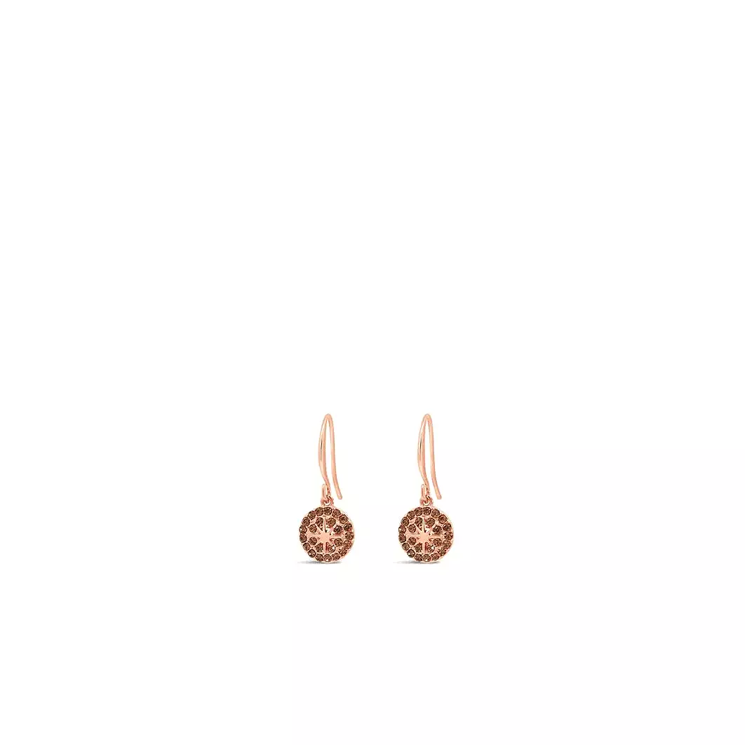 ABSOLUTE ROSE/BROWN DROP EARRING E2159BR