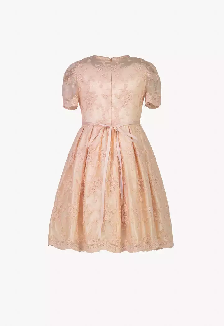 Powder Pink Lace Dress With Floral Waistband